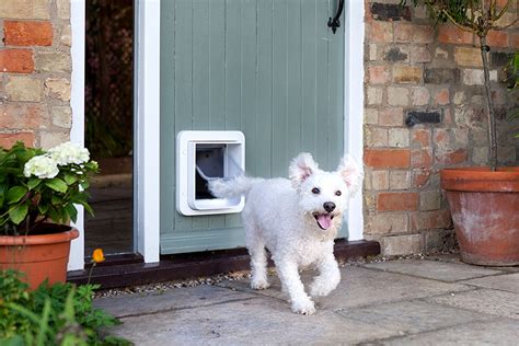 rfid implanted chip dog door|Electronic Dog Doors .